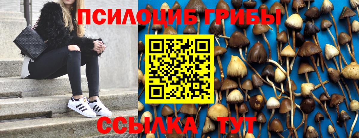Туапсе  Галлюциногенные грибы Psilocybe  Вход с VPN  Галлюциногенные грибы GOLDEN TEACHER 
