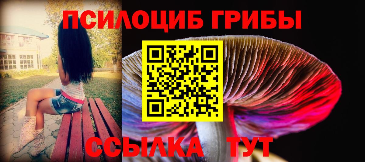 Псилоцибиновые грибы прущие грибы Туапсе
